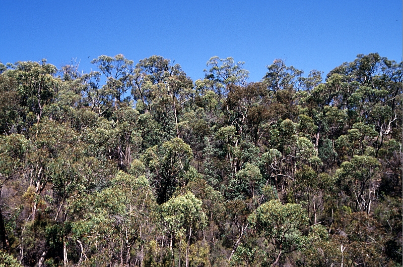 04Grampians NP